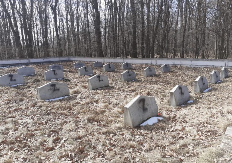 Pe mormintele soldaţilor ruşi din cimitirul de la Moţca a apărut litera „Z”