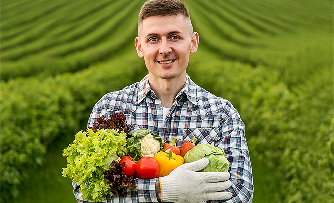 Hectarul.ro, magazinul online care reinventează felul în care faci agricultură