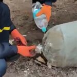 Doi specialişti ucraineni dezamorsează o bombă doar cu mâinile şi cu o sticlă de apă. Imaginile s-au viralizat (Video)