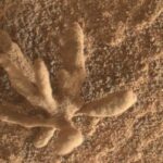 Roverul Curiosity a găsit „flori” pe Marte