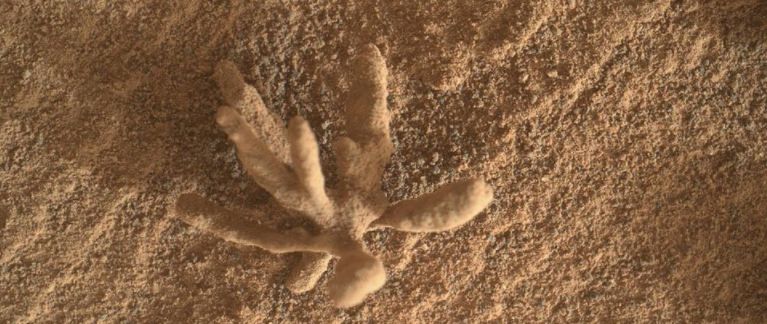 Roverul Curiosity a găsit „flori” pe Marte