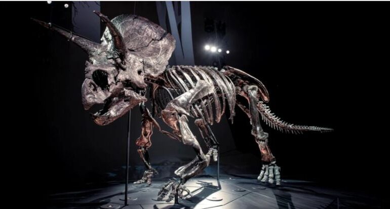A fost găsită aproape intactă fosila unui dinozaur. Numai oasele cântăresc peste o tonă!
