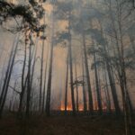 Ministerul Mediului: Circulaţia aerului indică faptul că teritoriul României nu va fi afectat de incendiile din zona Cernobîl