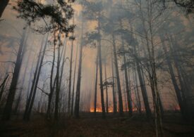 Ministerul Mediului: Circulaţia aerului indică faptul că teritoriul României nu va fi afectat de incendiile din zona Cernobîl