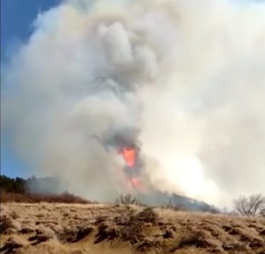 Incendiu uriaș, pe sute de hectare, în Buzău: Peisajul seamănă cu Grecia, tot ce vezi în jur e ars (Video)