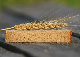De ce nu a găsit Europa o soluţie pentru cantităţile uriaşe de cereale blocate în Ucraina: Portul Constanţa nu face faţă, iar căile ferate sunt prea înguste