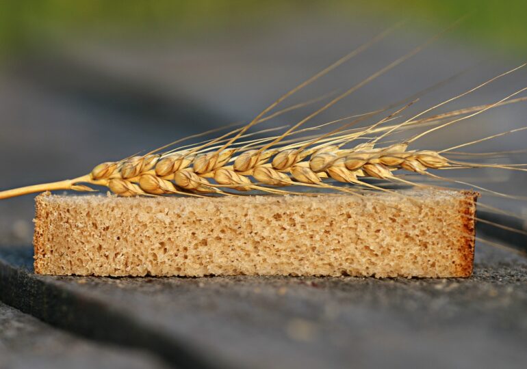 Exporturile de cereale din Ucraina - o problemă pentru Europa