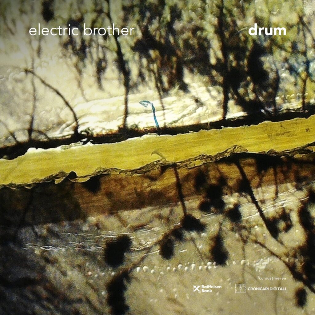 Electric-Brother-Album-Cover-Drum