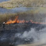 Incendiu în Bucureşti: Arde Delta Văcăreşti pe 15.000 de metri pătraţi (Foto&Video)