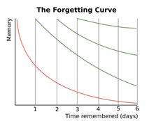 The-Forgeting-Curve