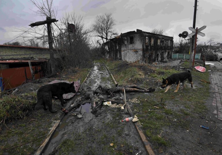 Oficial ucrainean: Rusia a lăsat în urmă cadavrele a 7.000 de soldați