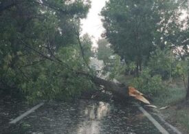 Vijelii în țară. Copaci căzuți și mașini avariate în București, drumuri acoperite cu grindină în mai multe localități (Video)