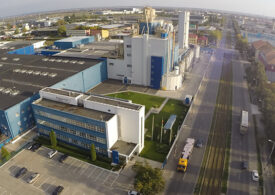 Nemţii de la Dalli închid fabrica din Timişoara, din cauza exploziei preţului la energie