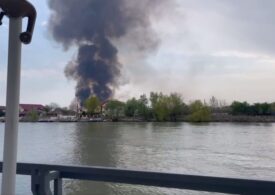 Incendiu în Delta Dunării. Au ars 100 de hectare vegetaţie uscată şi stuf (Video)