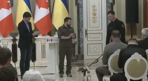 Zelenski l-a decorat pe Patron, câinele care a ajutat la găsirea de mine lăsate de ruşi (Video)