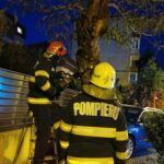 Pompierii din Timişoara au salvat mai mulţi pui de ciocănitoare (Foto)