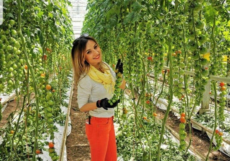 Cum a reușit o economistă să cultive roșii de milioane într-o seră ultramodernă din Cluj