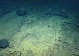 Un ciudat "drum al cărămizilor galbene” a fost descoperit pe fundul oceanului (Video)