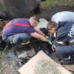 O căţeluşă captivă în smoală a fost salvată de pompierii din Argeș după 4 ore de intervenţie (Foto)