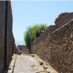 Cercetătorii au secvențiat, în premieră, genomul unui om care a trăit în Pompeii