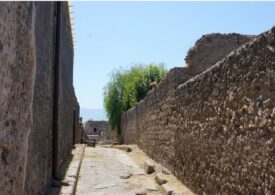 Cercetătorii au secvențiat, în premieră, genomul unui om care a trăit în Pompeii