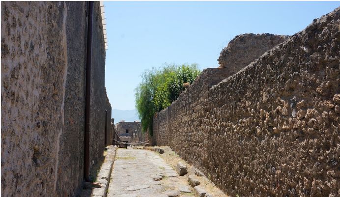 Cercetătorii au secvențiat, în premieră, genomul unui om care a trăit în Pompeii