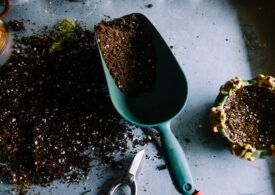 6 lucruri de care ai nevoie dacă ești pasionat de grădinărit