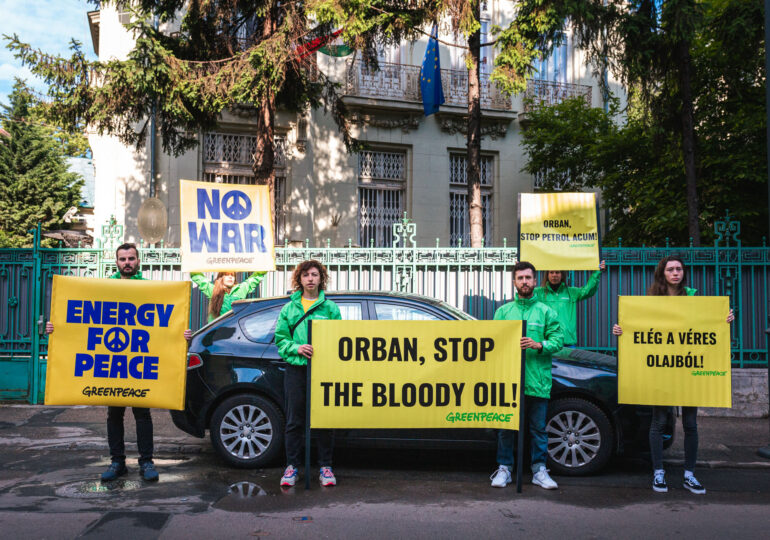 Protest Greenpeace la ambasada Ungariei din  Bucureşti: Ajunge cu petrolul sângeros!