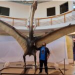 A fost descoperit ”dragonul morții”, un pterozaur cu o anvergură a aripilor de 9 metri!