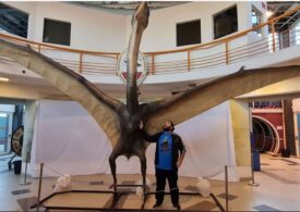 A fost descoperit ”dragonul morții”, un pterozaur cu o anvergură a aripilor de 9 metri!