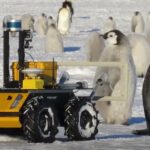 Un robot spionează pinguinii imperiali din Antarctica (Video)