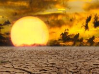 România pierde peste un milion de hectare de culturi, din cauza secetei extreme. Criza climatică usucă tot mai rapid solurile din Europa – studiu