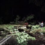 Urgie în Teleorman: Furtuna a fost atât de puternică încât a răsturnat un TIR și a smuls copaci din rădăcini (Galerie foto)
