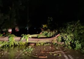 „E jale mare”. România, lovită de furtuni violente. Străzi inundate, copaci doborâți de vânt, mașini răsturnate