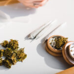 canabis marijuana consum medicinal