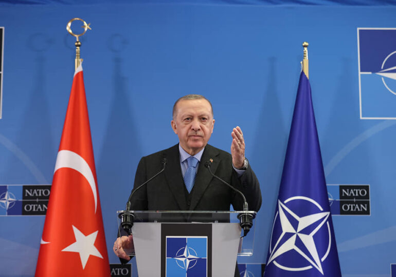 Spectacolul lui Erdoğan: indispensabil pentru NATO, pregătit să-și întărească regimul autoritar în interior