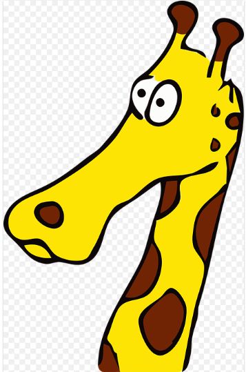 De ce au girafele gâtul atât de lung. Nu are legătură cu mâncarea, ci cu sexul