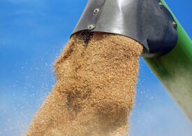 Ucraina susține că e ilegal ca România și alte țări să prelungească restricțiile puse la cereale. Zelenski dă Bulgaria exemplu