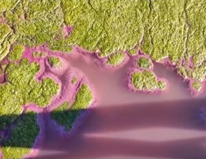 Motivul pentru care Lacul Techirghiol a devenit roz și e chiar mai bun pentru sănătate acum (Video)