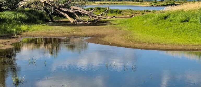 Peste 600 de localități din ţară au apa restricționată şi seceta se va accentua