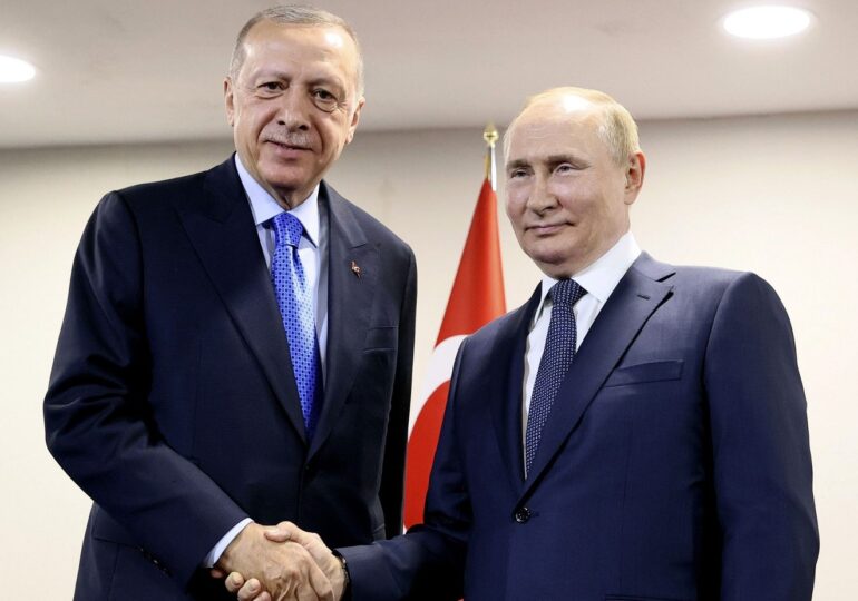 Erdogan anunţă că a convenit cu Putin să creeze un ”hub al gazelor” în Turcia
