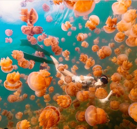 Lacul-meduzelor-Instagram-backpackersintheworld