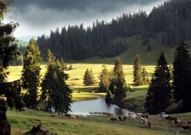 O destinaţie din România, inclusă de CNN în topul celor mai frumoase locuri din Europa