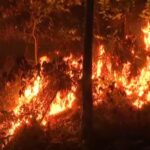 Un mega-incendiu devastează sudul Franţei: 1.000 de pompieri se luptă cu el şi nu cred că îl vor putea controla curând (Video)