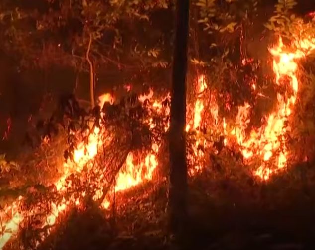Un mega-incendiu devastează sudul Franţei: 1.000 de pompieri se luptă cu el şi nu cred că îl vor putea controla curând (Video)