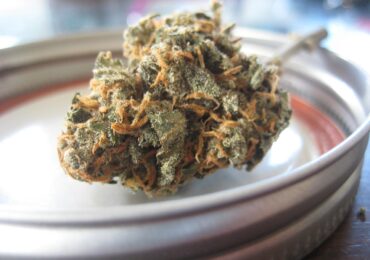 Germania a devenit cea mai mare piață reglementată de cannabis din Europa