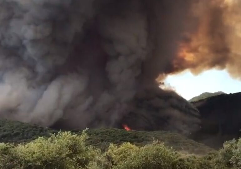 Ţările din zona mediteraneană sunt pârjolite de incendii de vegetație (Foto & video)