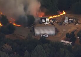 Val de căldură extremă și în SUA. Un incendiu arde pe mii de hectare în California și amenință arbori sequoia (Video)