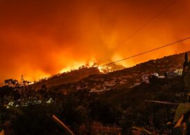 Incendiile de pădure s-au dublat în ultimii 20 de ani. Focul devastează anual o suprafaţă cât a Belgiei