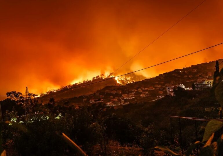 Stare de alertă în Portugalia, cu zeci de răniți din cauza incendiilor puternice și temperaturilor extreme (Foto & Video)